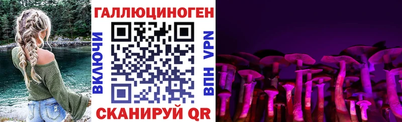 Купить  Красноармейск  Галлюциногенные грибы Psilocybe 