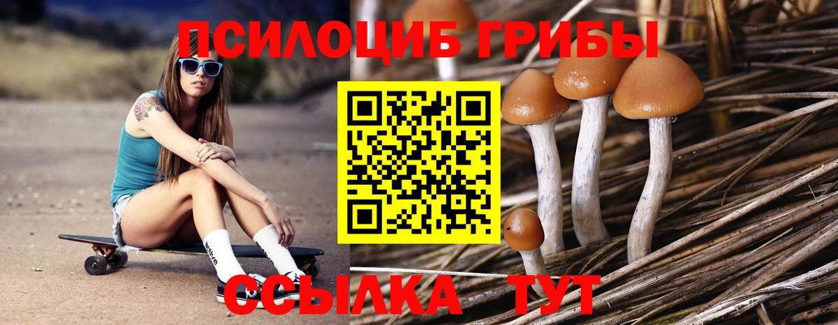 Псилоцибиновые грибы мицелий Красноармейск