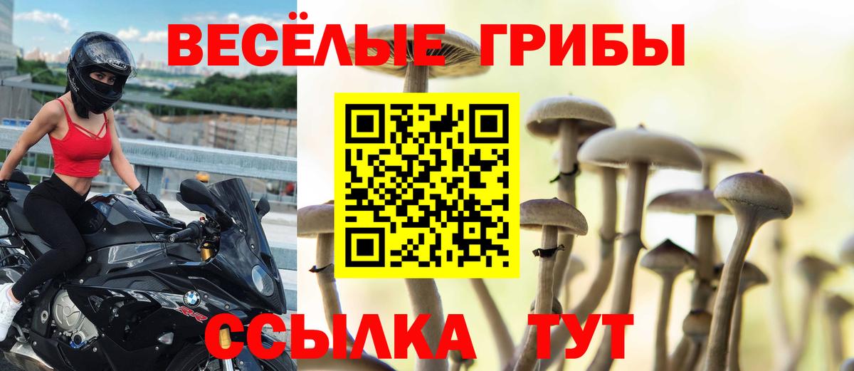 Галлюциногенные грибы Psilocybine cubensis Красноармейск