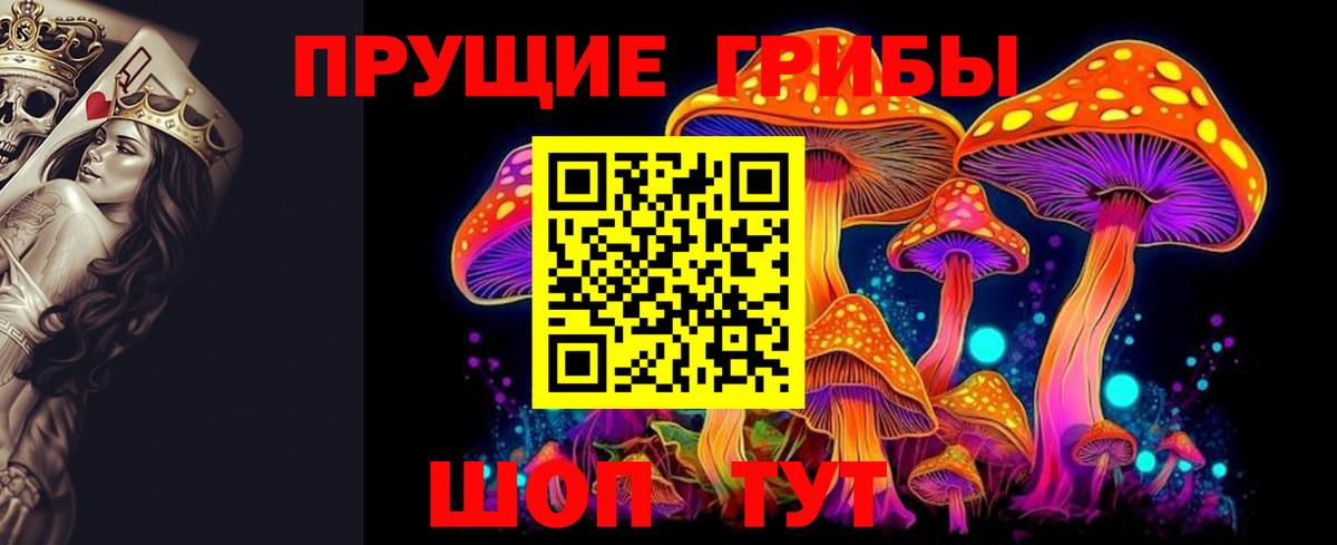 Псилоцибиновые грибы Magic Shrooms  Красноармейск  Галлюциногенные грибы Cubensis 